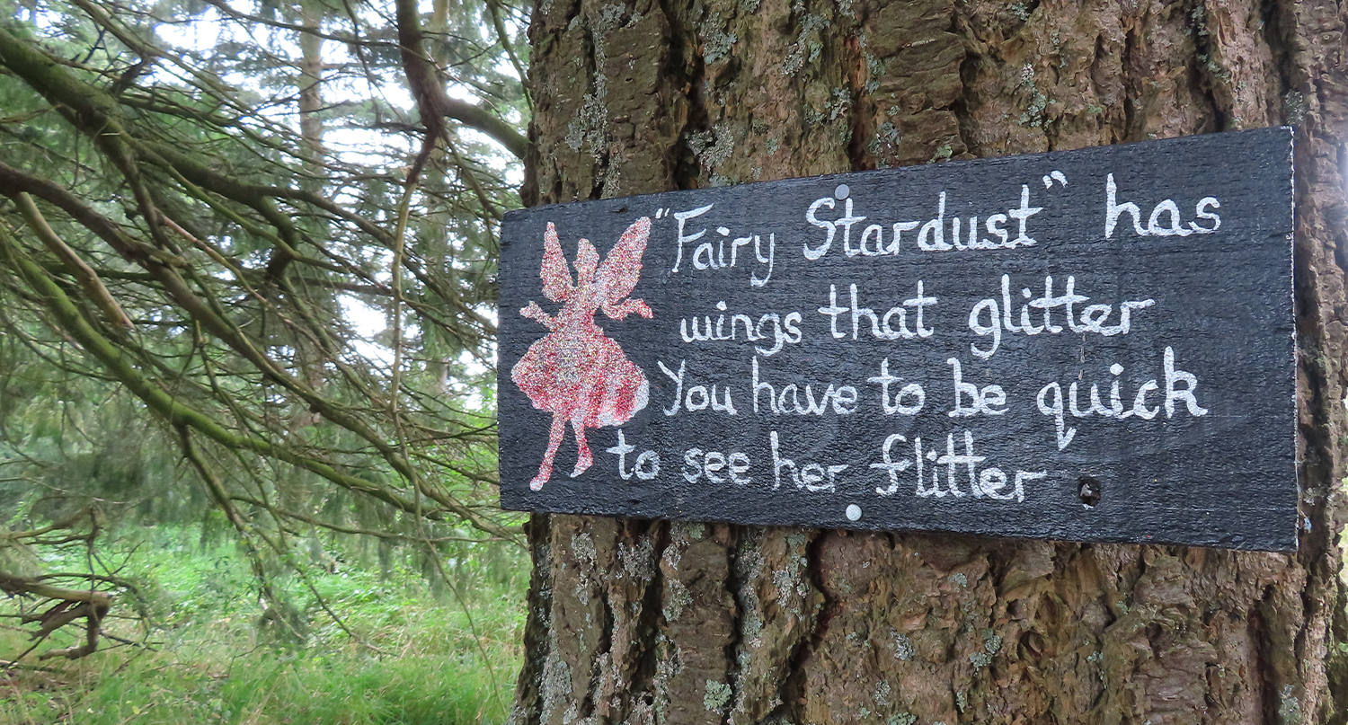 Enchanted Forest walk and fairies to continue
